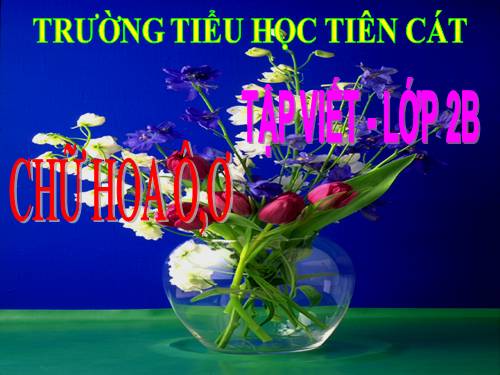 Tuần 17. Chữ hoa: Ô, Ơ