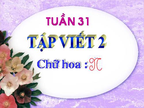 Tuần 31. Chữ hoa: N (kiểu 2)