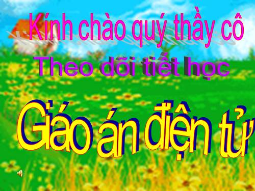 Tuần 20. Chữ hoa: Q