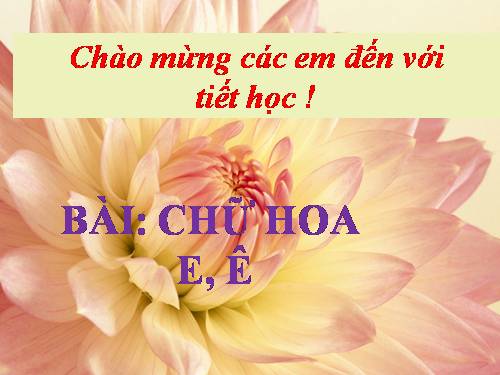 Tuần 7. Chữ hoa: E, Ê