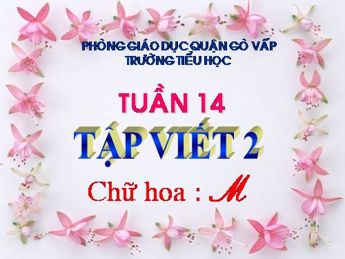 Tuần 14. Chữ hoa: M