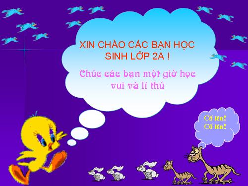 Tuần 5. Chữ hoa: D