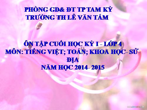 ÔN TẬP CUỐI HKI KHỐI 4