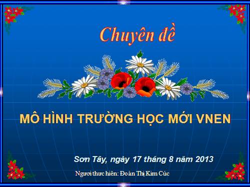 Chuyên đề tổ chức lớp học VNEN