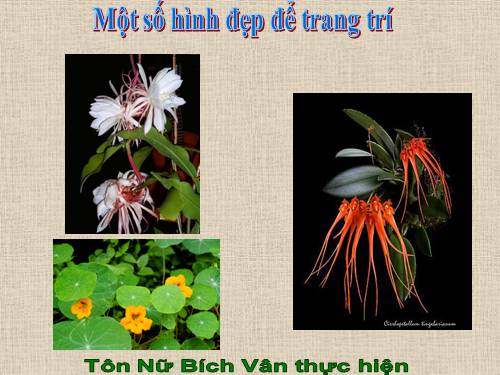 HÌNH NỀN ĐẸP2