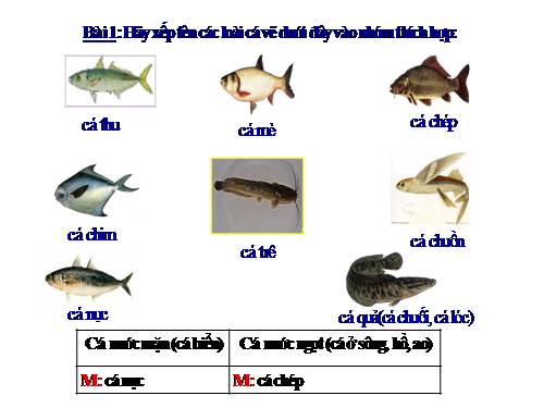 Luyện từ &câu 2.Tuần 26