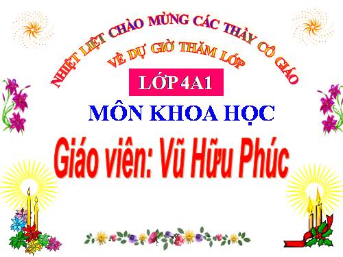 Trao doi chat o thuc vat