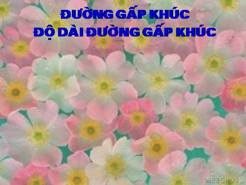 Đường gấp khúc - Độ dài đường gấp khúc