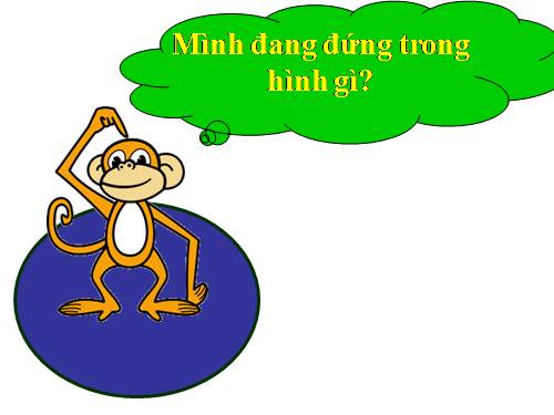 Hình chữ nhật - Hình tứ giác