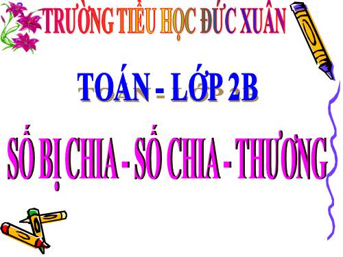 Số bị chia - Số chia - Thương