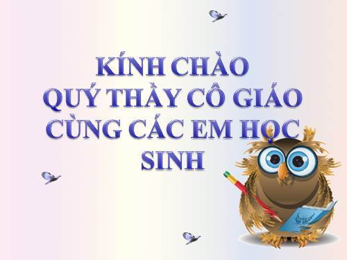 Hình chữ nhật - Hình tứ giác