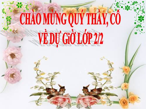 Ôn tập về hình học (tiếp theo)