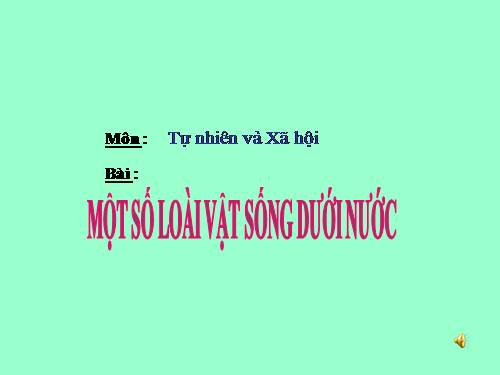 Mot so loai dong vat song duoi nuoc