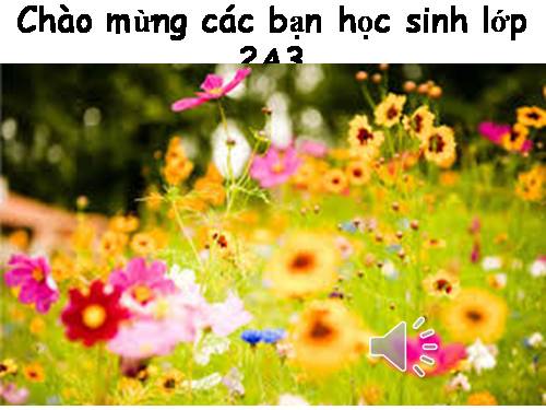 Phép cộng có tổng bằng 10