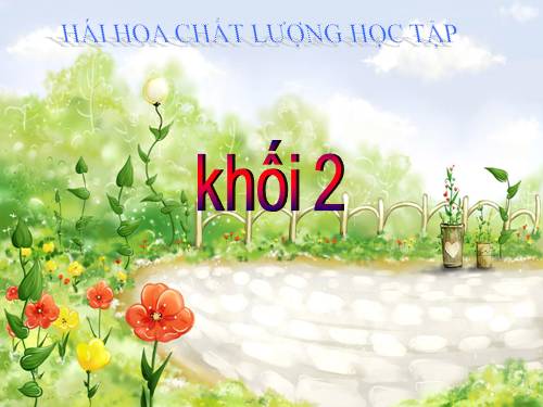 HHHT lớp 2