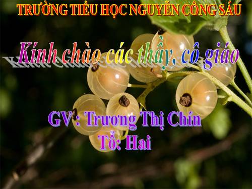 Tổng của nhiều số