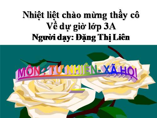 giáo án lớp 3