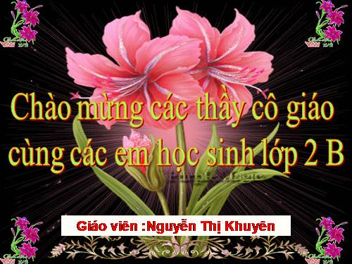 Chu vi hình tam giác - Chu vi hình tứ giác