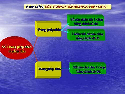 Số 1 trong phép nhân và phép chia