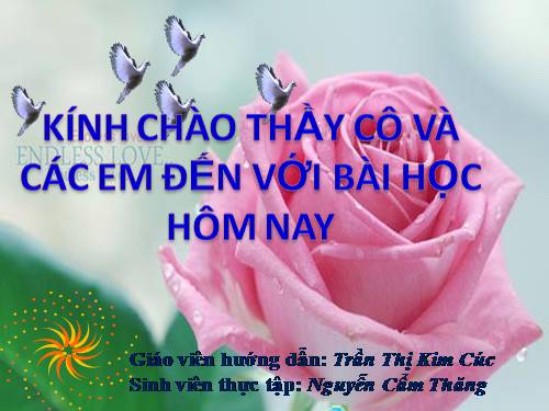 Tìm số bị chia