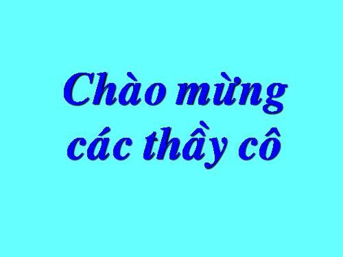 Thực hành xem lịch