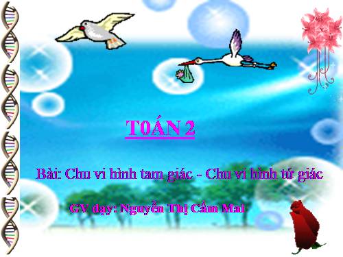 Chu vi hình tam giác - Chu vi hình tứ giác