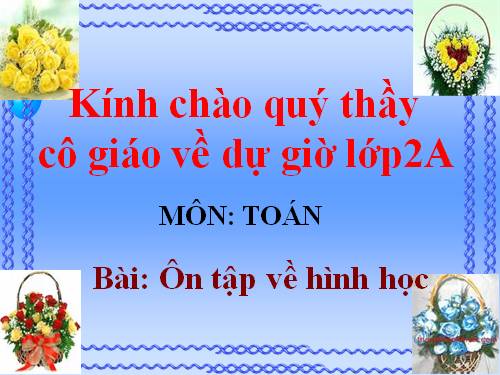 Ôn tập về hình học