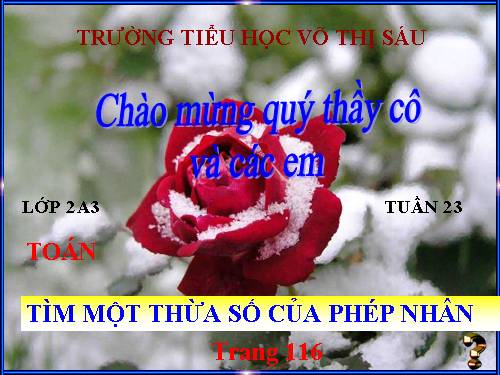 Tìm một thừa số của phép nhân