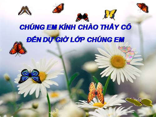 Ôn tập về hình học