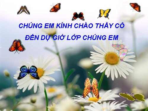 Ôn tập về hình học