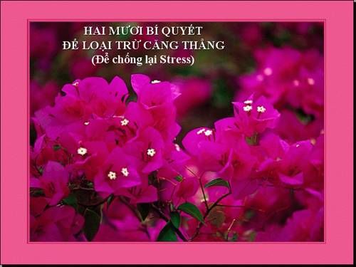 Hai mươi bí quyết