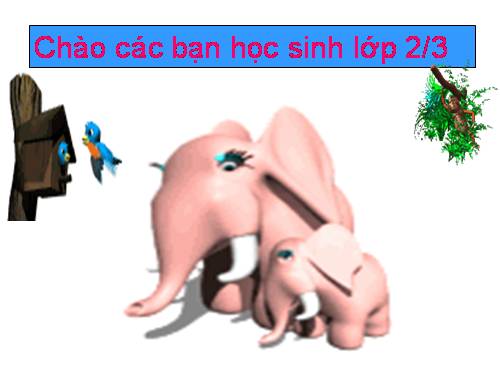 Tìm số bị chia