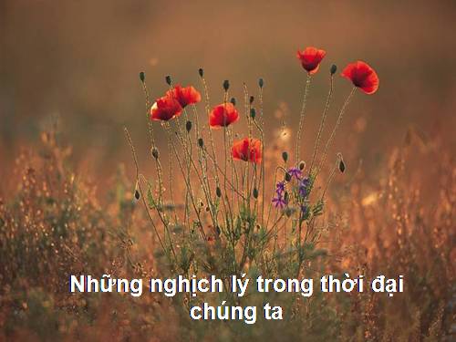 Nghich lí cuộc đời