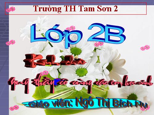 26 + 5