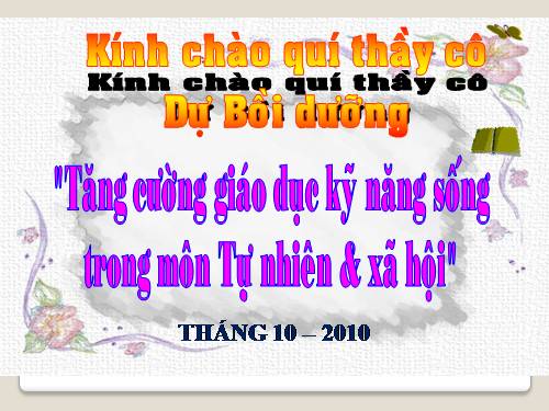 GD KI NANG SONG TNXH TIEU HỌC