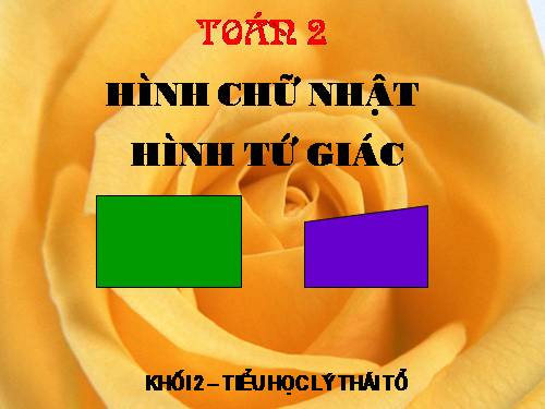 Hình chữ nhật - Hình tứ giác