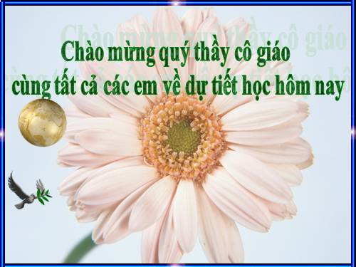 Bảng chia 2