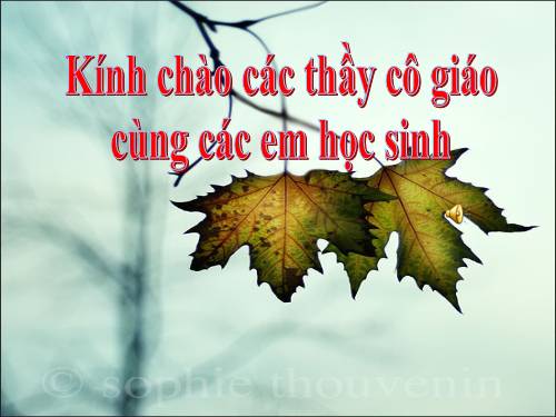 Các Bài giảng khác thuộc Chương trình Toán 2