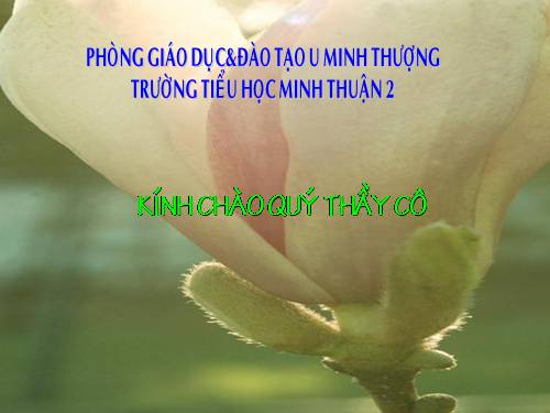 Một phần năm