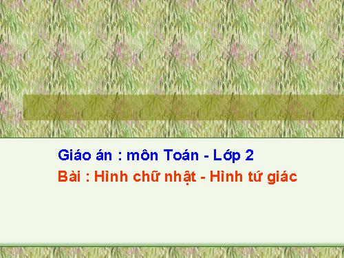 Hình chữ nhật - Hình tứ giác