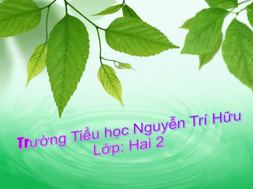 Một phần hai
