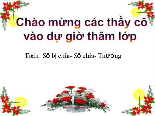 Số bị chia - Số chia - Thương