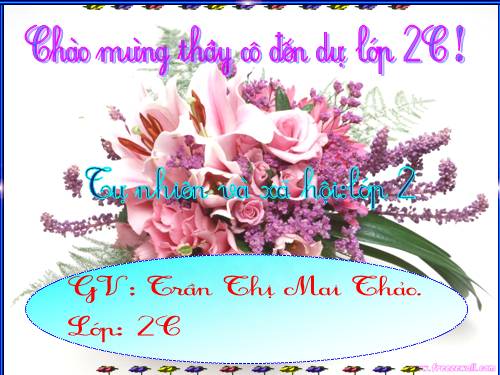 Bài 7. Giữ gìn trường lớp sạch đẹp