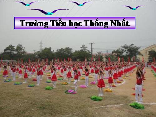 Bài 14. Bảo vệ loài vật có ích