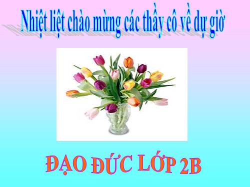 Bài 13. Giúp đỡ người khuyết tật