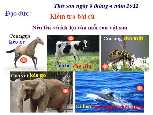 Bài 14. Bảo vệ loài vật có ích