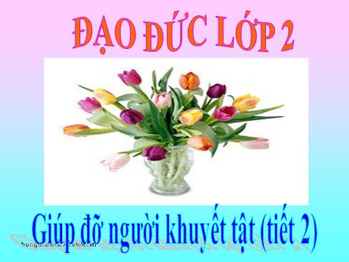 Bài 13. Giúp đỡ người khuyết tật