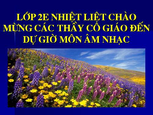 Bài 7. Trên con đường đến trường