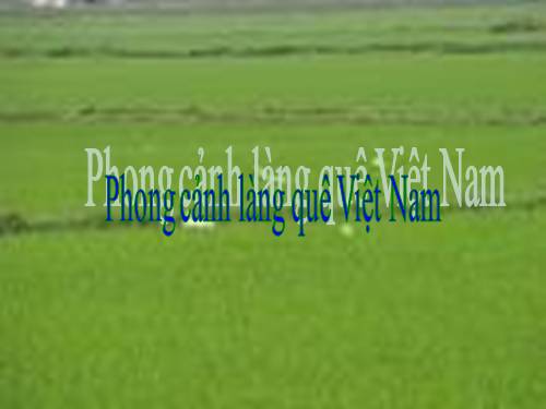 Cảnh làng quê Việt Nam