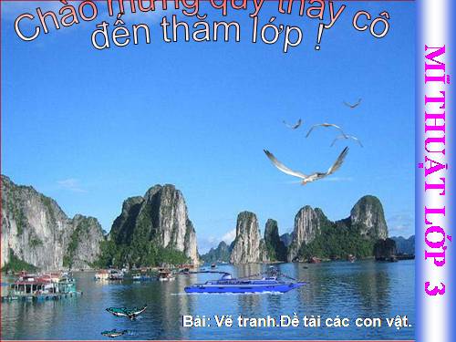 Bài 24. Vẽ con vật